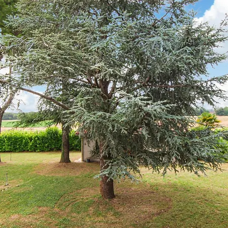 Tatil Evi 3 Bedroom Awesome In