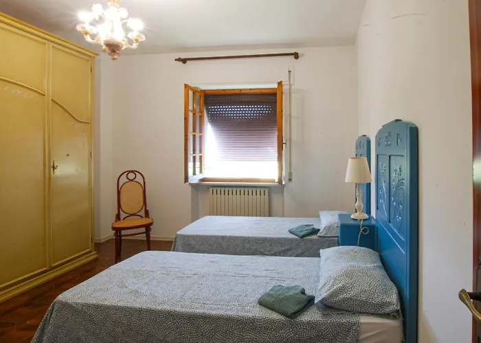 Awesome In With Wifi * Cingoli